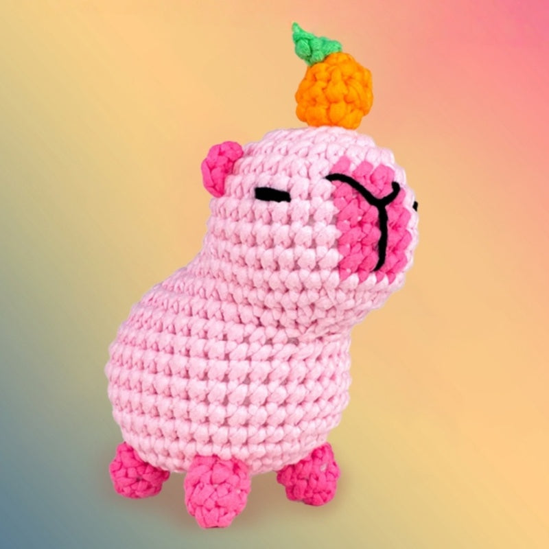 Milo the Capybara Pink Crochet kit